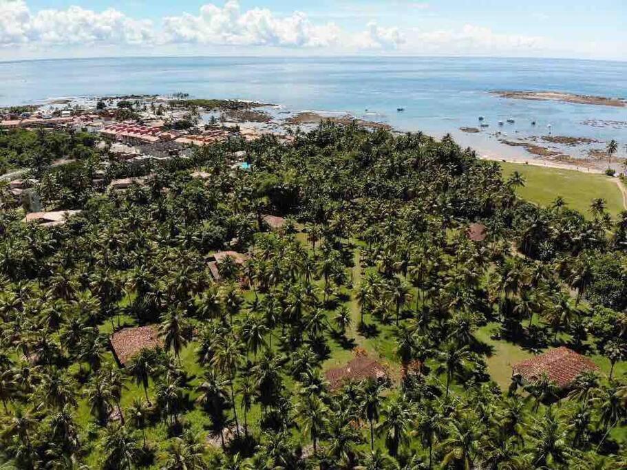 Casinha Jardim Das Palmeiras Morro de São Paulo Zewnętrze zdjęcie