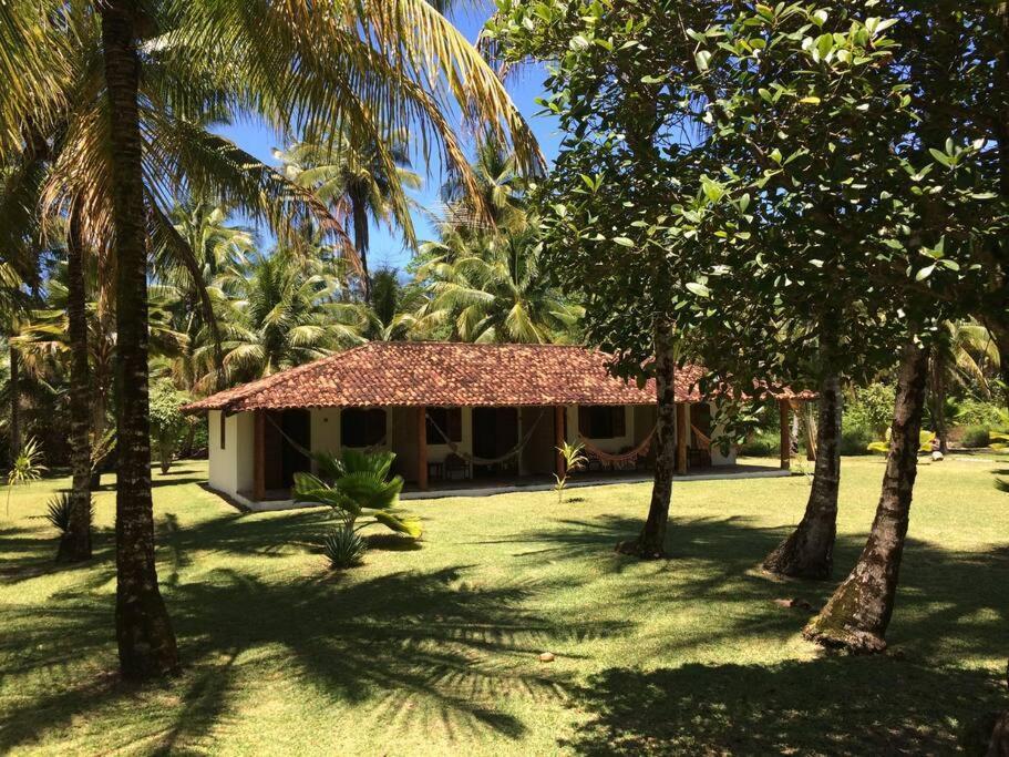 Casinha Jardim Das Palmeiras Morro de São Paulo Zewnętrze zdjęcie