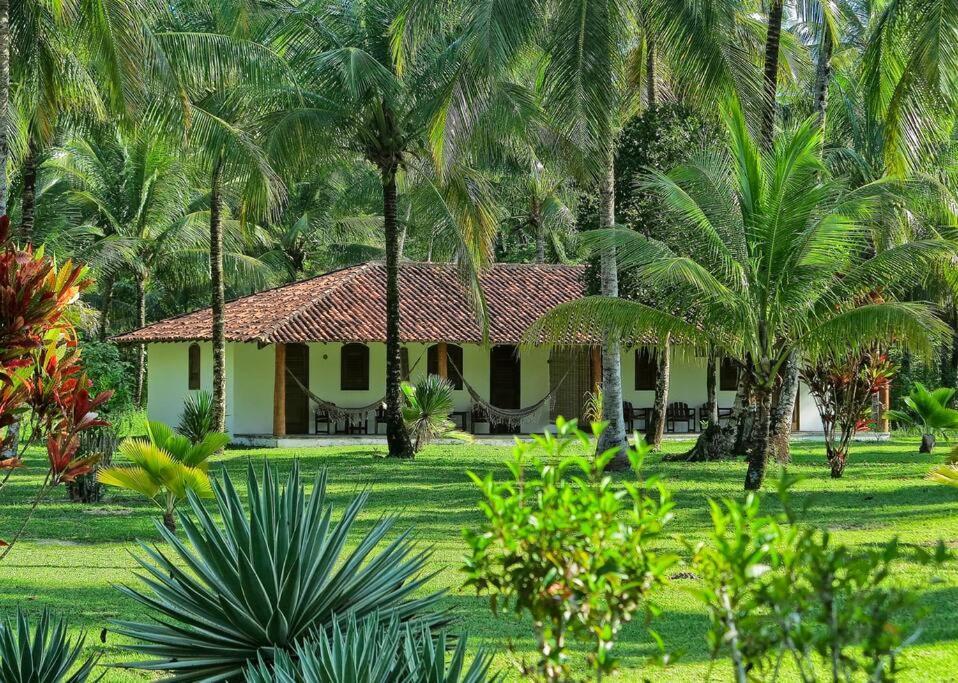 Casinha Jardim Das Palmeiras Morro de São Paulo Zewnętrze zdjęcie