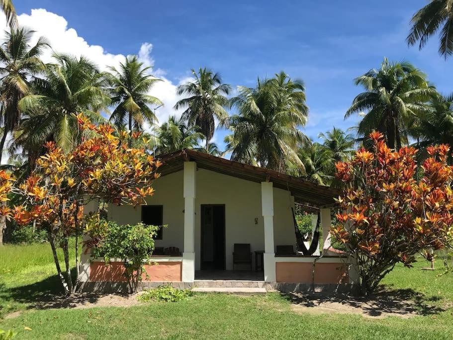 Casinha Jardim Das Palmeiras Morro de São Paulo Zewnętrze zdjęcie