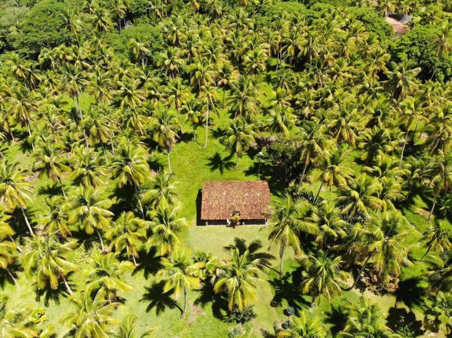 Casinha Jardim Das Palmeiras Morro de São Paulo Zewnętrze zdjęcie
