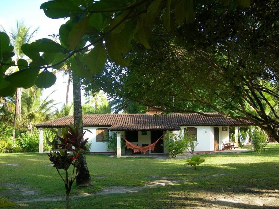Casinha Jardim Das Palmeiras Morro de São Paulo Zewnętrze zdjęcie